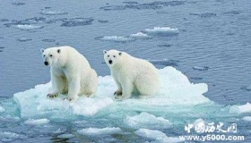 联合国报告称：地球气温将上升1.5摄氏度