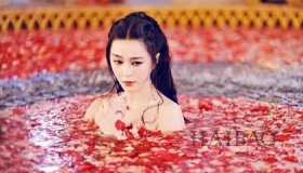 范冰冰与李晨合作过吗范冰冰与李晨出演《武媚娘传奇》