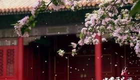 故宫每天开门前，工作人员为什么都要大喊几声？