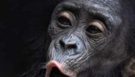 费米悖论是什么意思？费米悖论是谁提出来的？