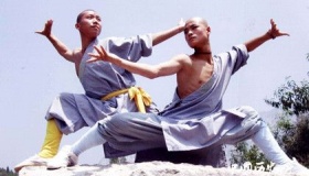 少林功夫的起源和发展历史