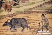 秦朝的土地制度内容有哪些？土地制度是谁提出来的？