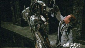 《铁血战士》剧情和播出时间《铁血战士》好看吗