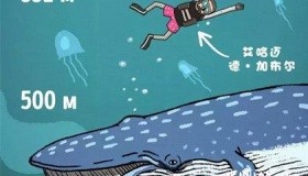 海洋里面有什么？海洋最深处隐藏着什么？