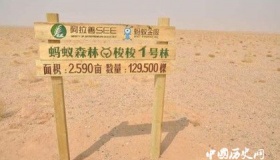 支付宝中的蚂蚁森林是真的森林吗？蚂蚁森林有什么影响？