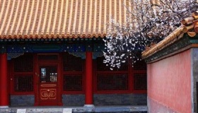 故宫著名景点推荐：绛雪轩、颐和轩、乐寿堂......