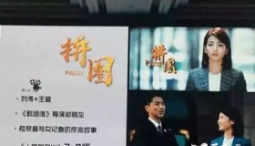 《拼图》故事剧情简介最终结局和演员介绍