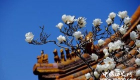 故宫园林介绍：园林建筑设计介绍，分别有哪些作用？