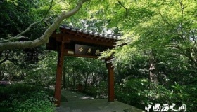 灵隐寺飞来峰是怎么来的