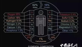 地球为什么只选择碳基生命，而不选择硅基生命？