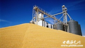 中粮集团是什么公司有多久了