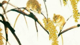 属鼠的人2018年运势怎么样？运势详解！