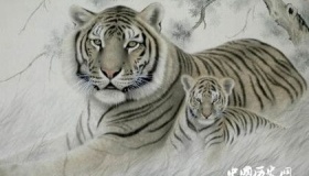 十二生肖的命中劫数分别在什么时候？如何化解！