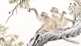 属猴的人2018年运势怎么样？运势详解！