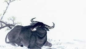 属牛的人2018年运势怎么样？运势详解！