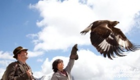 《追鹰日记》内容简介：主打治愈 传达爱与自由的诗歌。