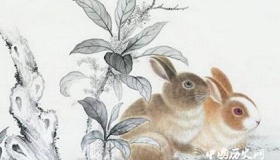 属兔的人2018年运势怎么样？运势详解！