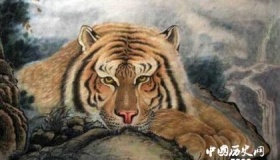 属虎的人2018年运势怎么样？运势详解！