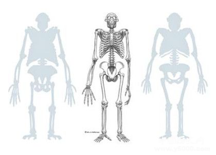 人类最早的祖先是什么样子？人类祖先介绍！