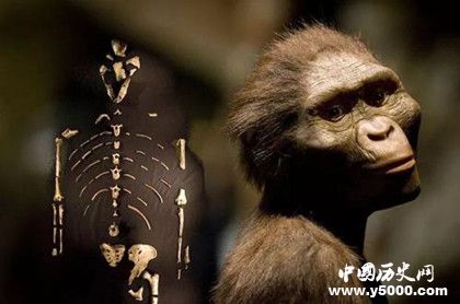 人类最早的祖先是什么样子？人类祖先介绍！