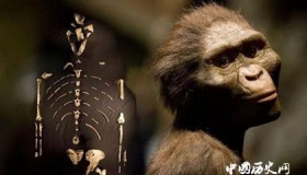 人类最早的祖先是什么样子？人类祖先介绍！