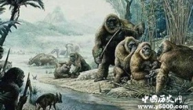 单细胞是如何演变成生物的，单细胞用多长时间演变的？