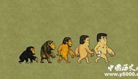 人类是如何形成的？形成人类的基础条件有哪些？