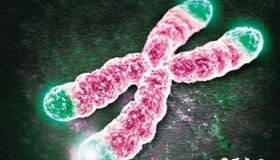 人类的寿命为什么这么短？人类为什么不能长生不老？