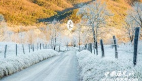 立冬节气的历史由来立冬代表进入冬季了吗