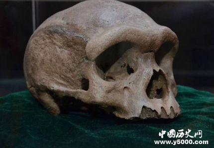 北京猿人头骨化石为何失踪 化石究竟在何处？