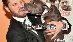 《毒液》观后感：毒液的真实形象是什么？真实形象解读！