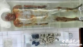 马王堆女尸为什么保存这么久都不会腐烂