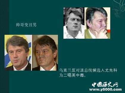 二噁英是什么大闸蟹里为什么有二噁英二噁英对人体的危害