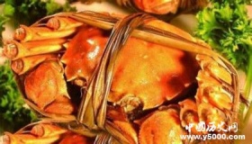 二噁英是什么大闸蟹里为什么有二噁英二噁英对人体的危害