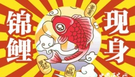 支付宝花呗锦鲤分别是谁支付宝锦鲤是什么梗