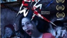 悬疑电影《锁》剧情简介上映时间评价如何？