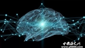 人工智能是什么人工智能发展历史人工智能的应用