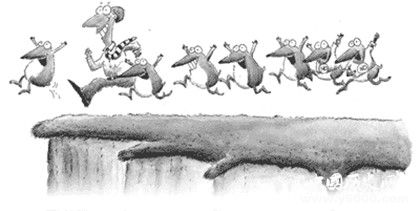 旅鼠集体自杀之谜：旅鼠为什么会投海自杀