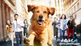 《忠犬大营救》剧情简介上映时间评价如何