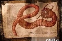 死亡之虫的秘密：死亡之虫真的存在吗