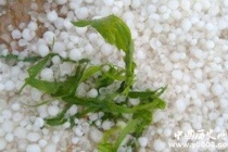 冰雹是怎么形成的