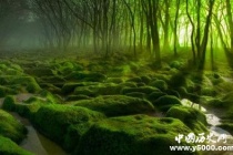 氧气是怎么形成的