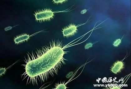 高温可以杀死细菌吗 有哪些细菌高温是杀不死的