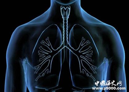 液态呼吸系统是什么 液态呼吸系统是谁发明的？