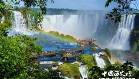 亚马孙热带雨林介绍