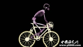 X射线是什么 X射线有什么作用 X射线拍摄图片效果