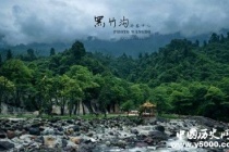 黑竹沟死亡谷之谜：黑竹沟里死了多少人