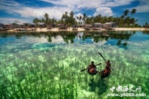 马尾藻海资料介绍