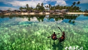 马尾藻海资料介绍