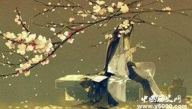 《赘婿》小说内容简介 作者介绍 《赘婿》完结了吗